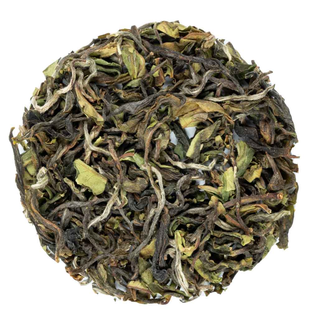 Nepal FF
